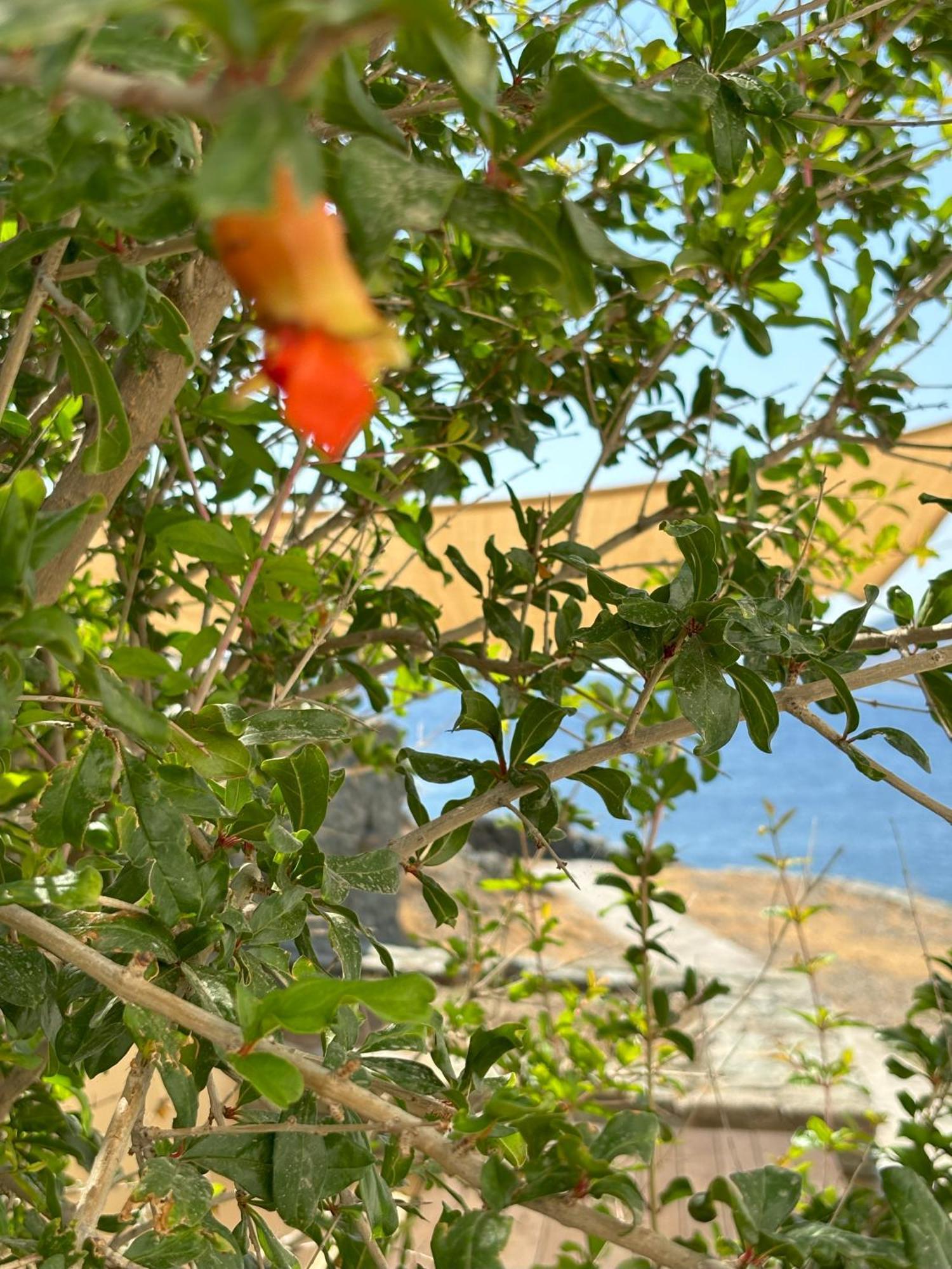Almyra Yellow Villa Kíthnos Exterior photo